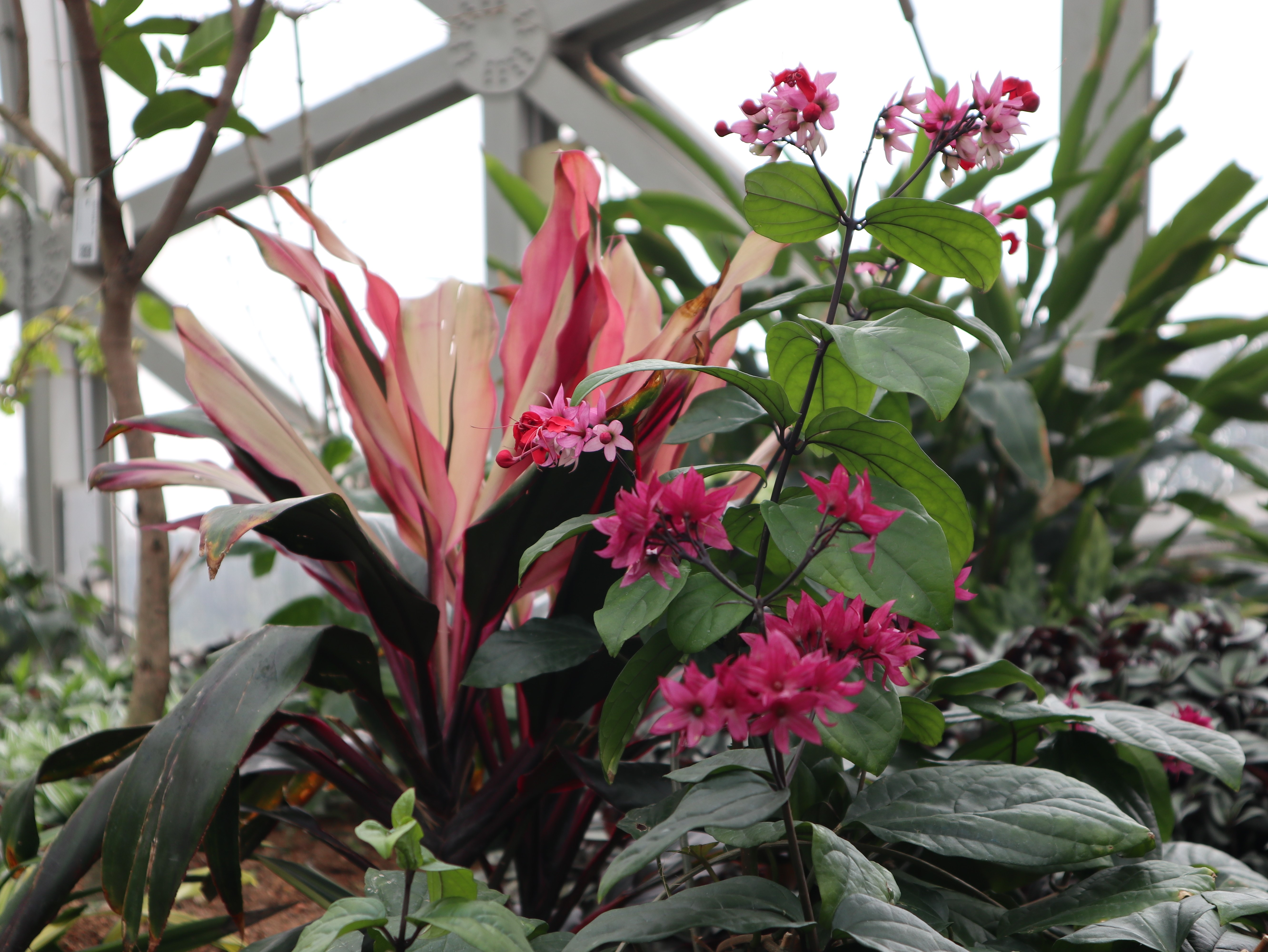 新聞 | 寶開組織“相約春季，歡暢游園”三八節(jié)主題活動